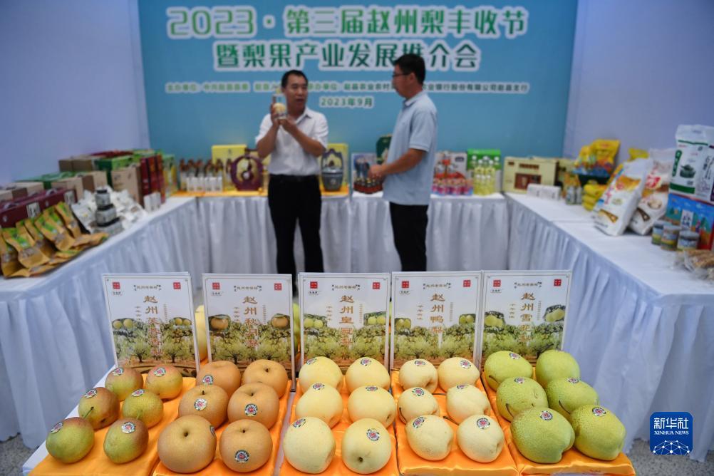澳门维斯尼人澳门赌场